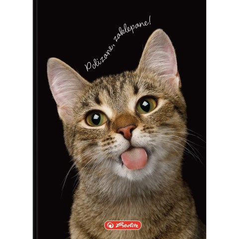 Brulion A6 80k kratka CRAZY ANIMAL 400196850 HERLITZ