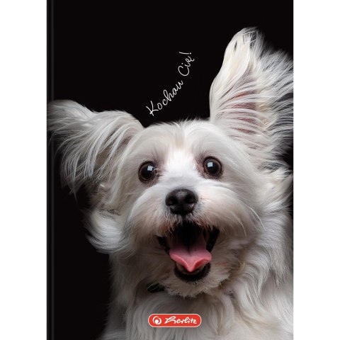 Brulion A6 80k kratka CRAZY ANIMAL 400196850 HERLITZ