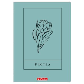 Zeszyt A4 60k linia z marginesem mix 400206364 HERLITZ