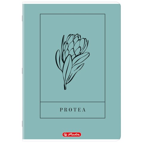 Zeszyt A4 60k linia z marginesem mix 400206364 HERLITZ