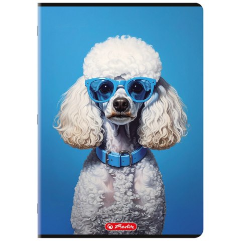 Zeszyt A4 80k kratka z marginesem mix 400206367 HERLITZ