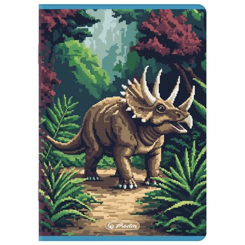 Zeszyt A5 32k linia podwójna kolorowa PIXEL FUN chłopięcy 400207520 HERLITZ