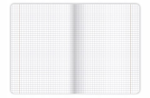 Zeszyt A5 60k kratka margines BIRDS EYE 400182435 TOP 2000