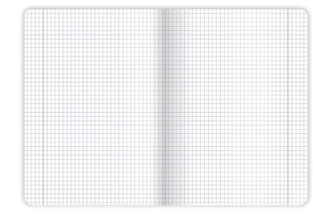 Zeszyt A5 60k kratka margines BOTANY 400182432 TOP 2000