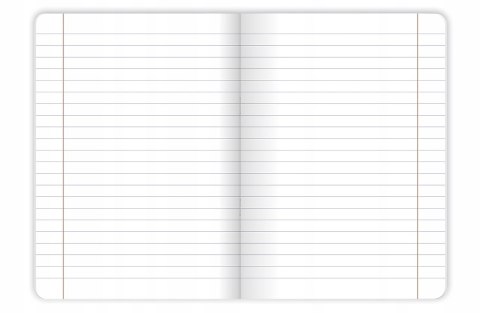 Zeszyt A5 60k linia margines BIRDS EYE 400181622 TOP 2000