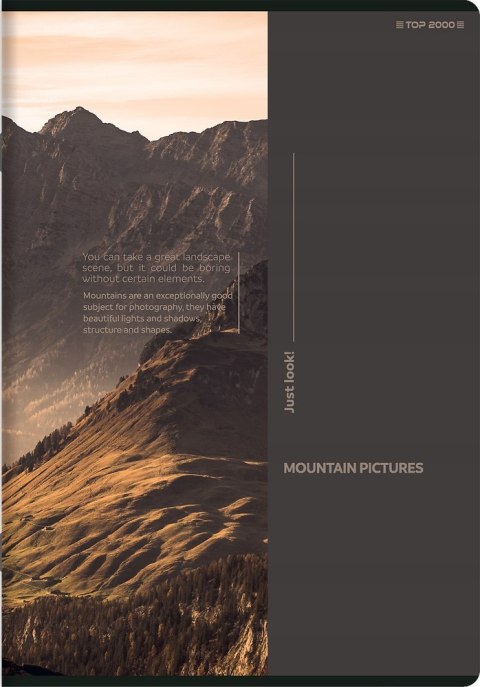 Zeszyt A5 60k linia margines BIRDS EYE 400181622 TOP 2000