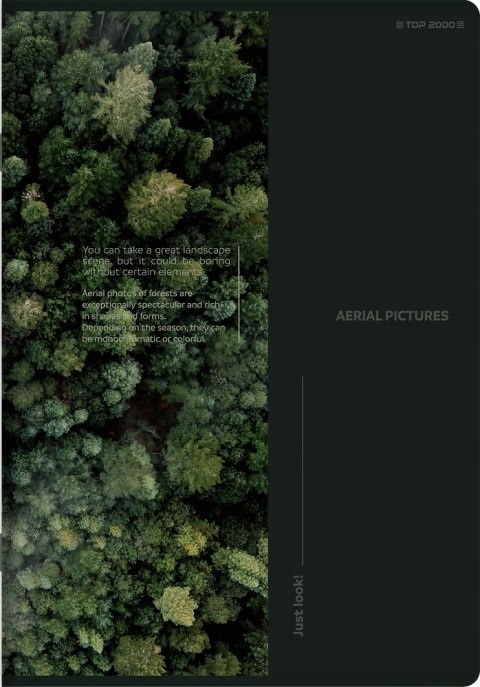 Zeszyt A5 60k linia margines BIRDS EYE 400181622 TOP 2000