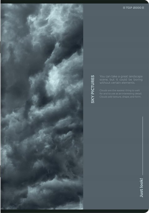 Zeszyt A5 60k linia margines BIRDS EYE 400181622 TOP 2000