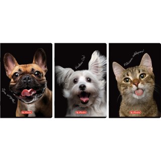 Zeszyt szkolny A4 60 kartek w kratkę 70g CRAZY ANIMAL 400196844 HERLITZ