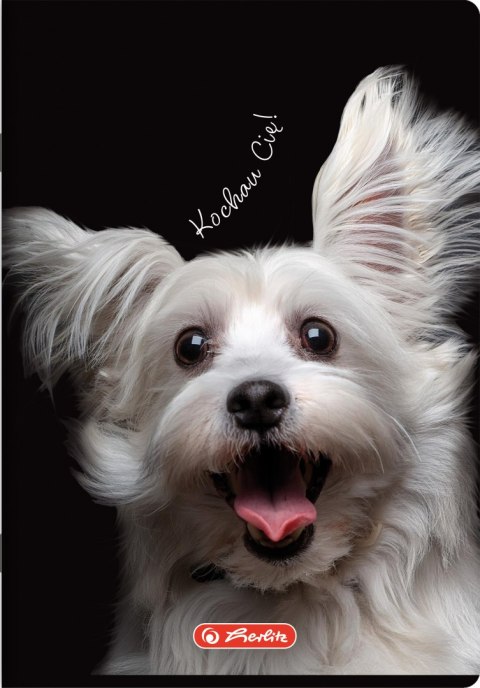 Zeszyt szkolny A4 60 kartek w kratkę 70g CRAZY ANIMAL 400196844 HERLITZ