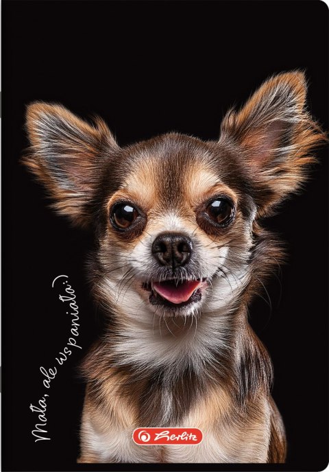 Zeszyt szkolny A5 60 kartek w kratkę 70g CRAZY ANIMAL 400196837 HERLITZ