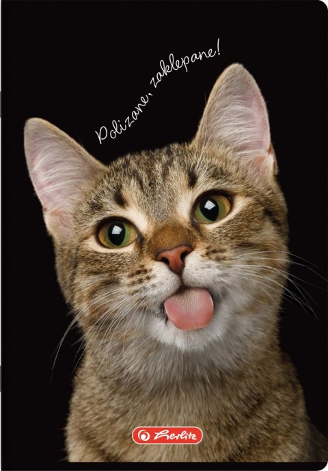 Zeszyt szkolny A5 60 kartek w linie 70g CRAZY ANIMAL 400196838 HERLITZ