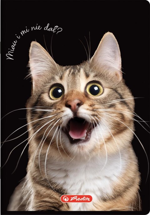 Zeszyt szkolny A5 60 kartek w linie 70g CRAZY ANIMAL 400196838 HERLITZ