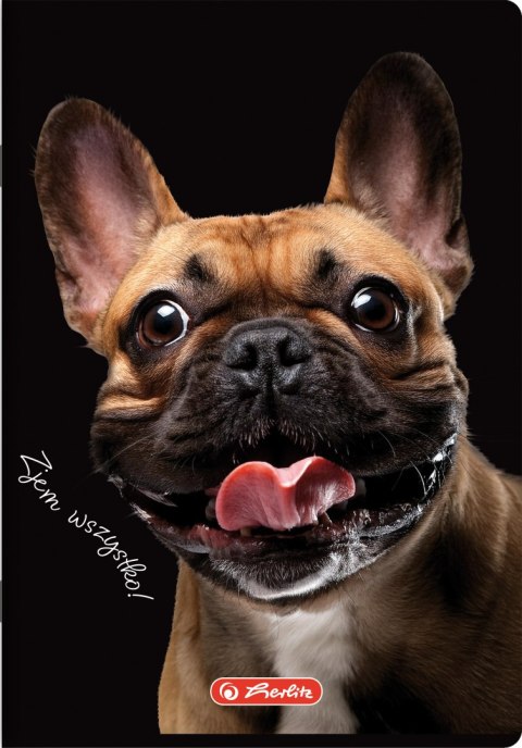 Zeszyt szkolny A5 80 kartek w kratkę 70g CRAZY ANIMAL 400196839 HERLITZ