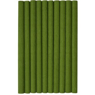 Bibuła marszczona (10 rolek) 50x200cm oliwkowy 400153922 HERLITZ