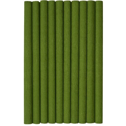 Bibuła marszczona (10 rolek) 50x200cm oliwkowy 400153922 HERLITZ