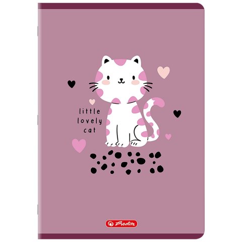 Zeszyt A4 32k linia podwójna kolorowa mix 400206361 HERLITZ