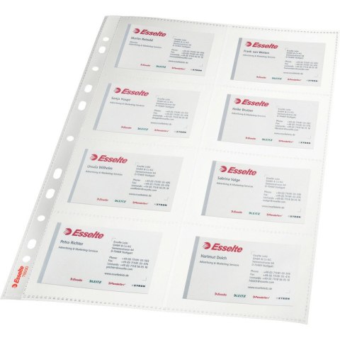 KOSZULKI NA WIZYTÓWKI ESSELTE A4/105µm (10)