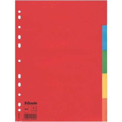 PRZEKŁADKI KARTONOWE ESSELTE A4 5 KART