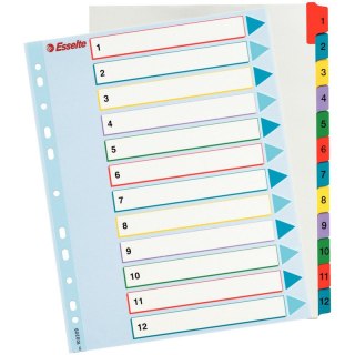 PRZEKŁADKI MYLAR ESSELTE A4 1-12