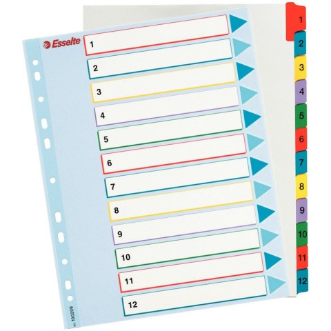 PRZEKŁADKI MYLAR ESSELTE A4 1-12