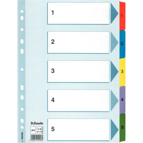 PRZEKŁADKI MYLAR ESSELTE A4 1-5