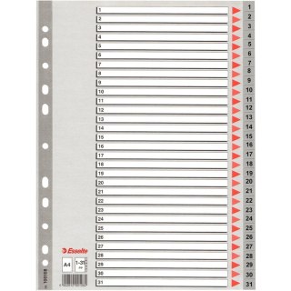 PRZEKŁADKI PP ESSELTE A4 1-31