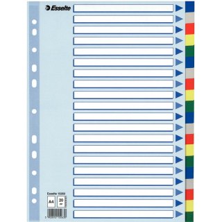 PRZEKŁADKI PP ESSELTE A4 INDEX 20 KOLORÓW