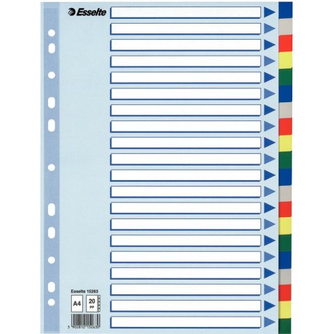 PRZEKŁADKI PP ESSELTE A4 INDEX 20 KOLORÓW