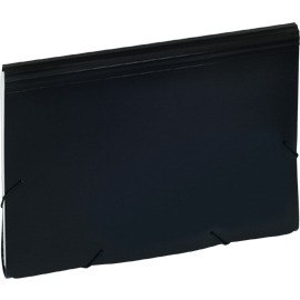 TECZKA EAGLE 12 PRZEGRÓDEK CZARNA