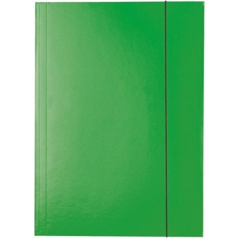 TECZKA KARTONOWA Z GUMKĄ ESSELTE A4/400g ZIELONA