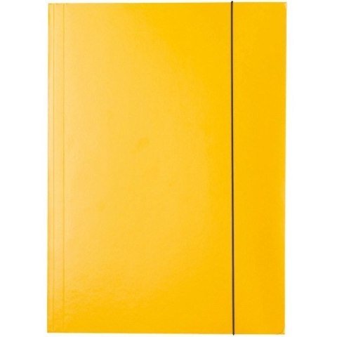 TECZKA KARTONOWA Z GUMKĄ ESSELTE A4/400g ŻÓŁTA