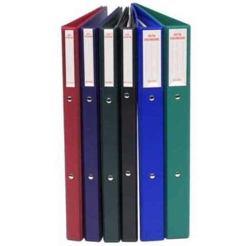 TECZKA NA AKTA OSOBOWE PVC A4 JASNOZIELONA