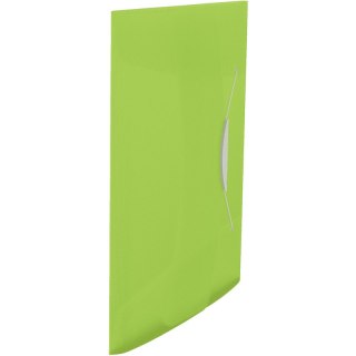TECZKA Z GUMKĄ ESSELTE VIVIDA A4/15mm ZIELONA