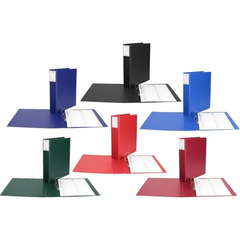 Segregator do akt osobowych Biurfol A4/5.5cm 2R gr