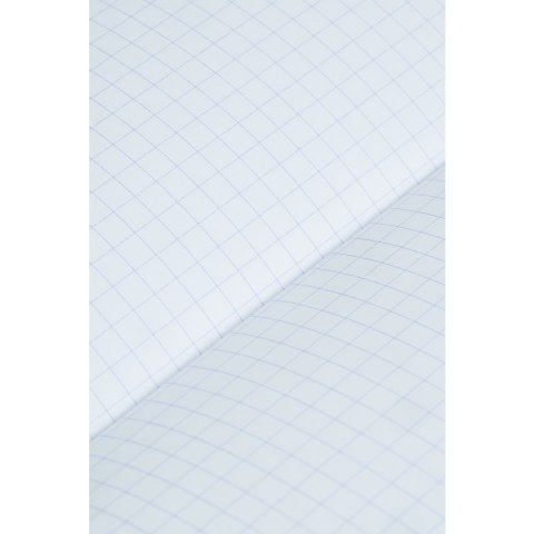 Zeszyt A5 60k kratka z marginesem 3szt (2+1gratis) ESSE 400210380 OXFORD