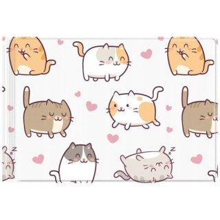 Okładka na dokumenty ucznia mała z nadrukiem KITTENS OD-31-35 BIURFOL