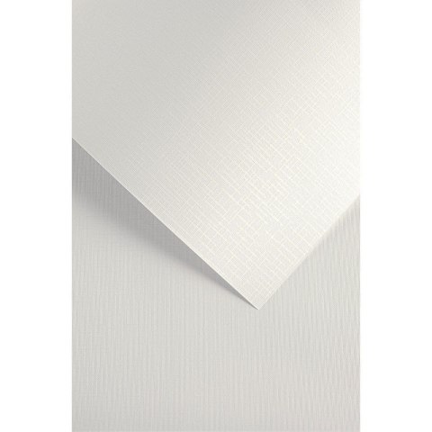 Karton ozdobny Sukno biały 230g. (20szt.) 204211 Galeria Papieru