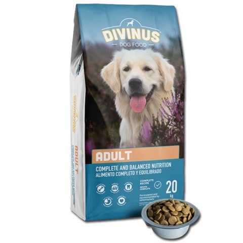 Divinus Adult Karma Sucha Dla Psów Dorosłych 20kg
