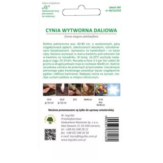 Cynia wytworna daliowa, mieszanka kolorów