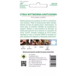 Cynia wytworna kaktusowa - mieszanka