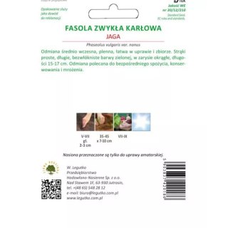 Fasola karłowa Jaga - zielone strąki