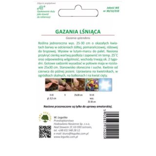 Gazania lśniąca mieszanka, nasiona otarte