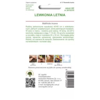 Lewkonia letnia - barwna mieszanka