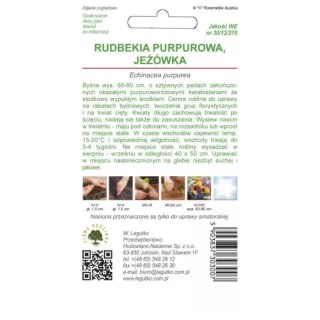 Nasiona jeżówki purpurowej, różowa