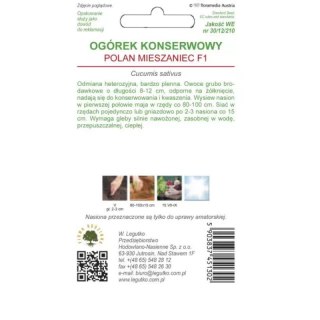 Nasiona ogórka gruntowego konserwowego Polan F1, śr. wczesny