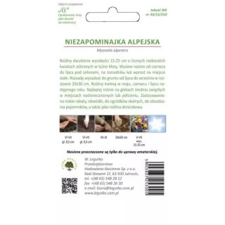 Niezapominajka alpejska - odmiana niebieska