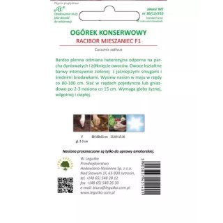 Ogórek gruntowy konserwowy Racibor F1 - śr. wczesna