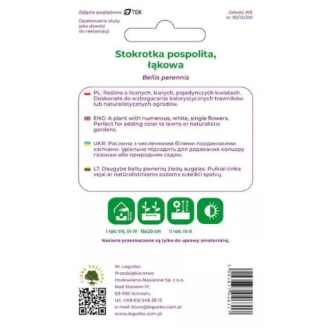 Stokrotka pospolita łąkowa biała - nasiona