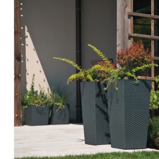Donica FINEZJA 250x250 rattan - grafit metalik